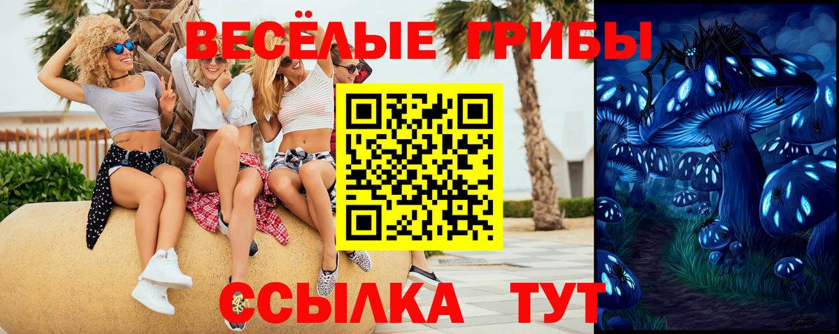 Семилуки  Галлюциногенные грибы Psilocybe  где купить наркоту  Вход с VPN 
