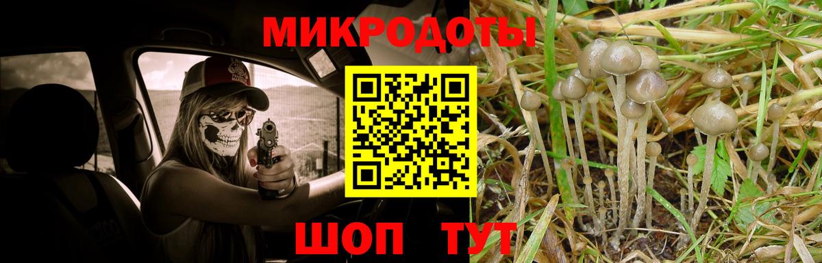 Псилоцибиновые грибы Psilocybine cubensis Семилуки